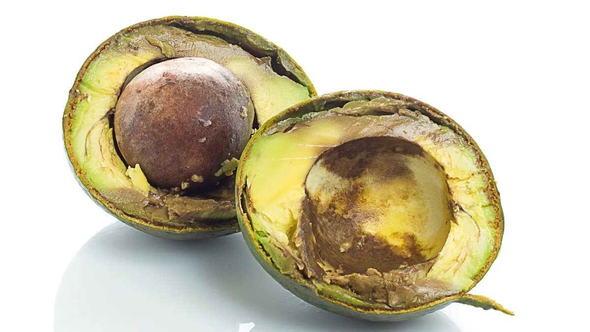 What causes avocado quality problems and how to prevent them postharvest.jpg
